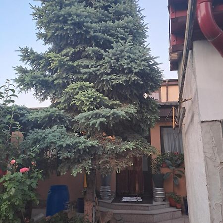 Apartamento Casa Rusu Galaţi Exterior foto
