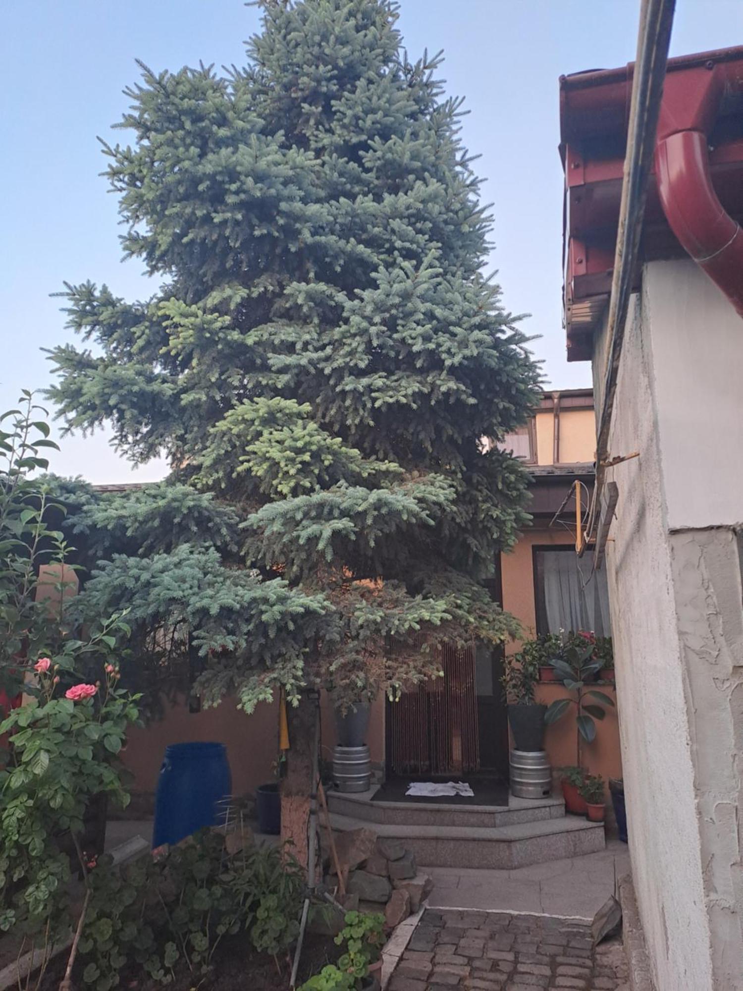 Apartamento Casa Rusu Galaţi Exterior foto